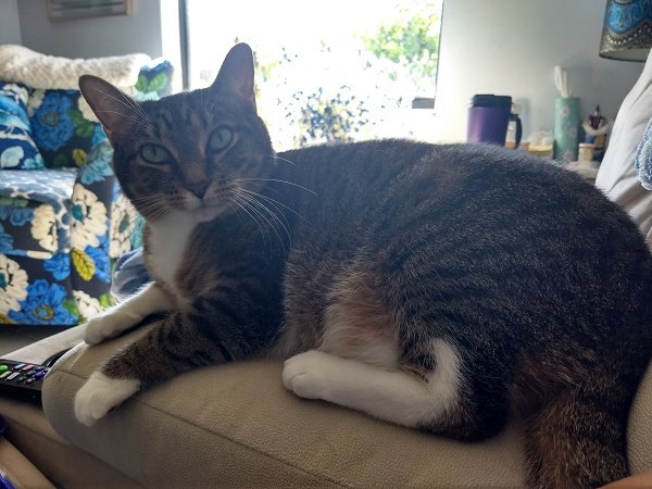 Sammie