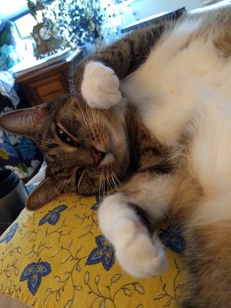 Sammie