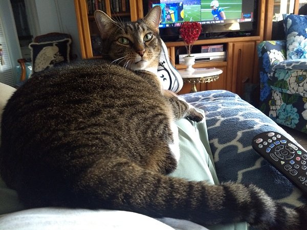 Sammie