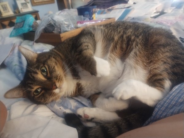 Sammie