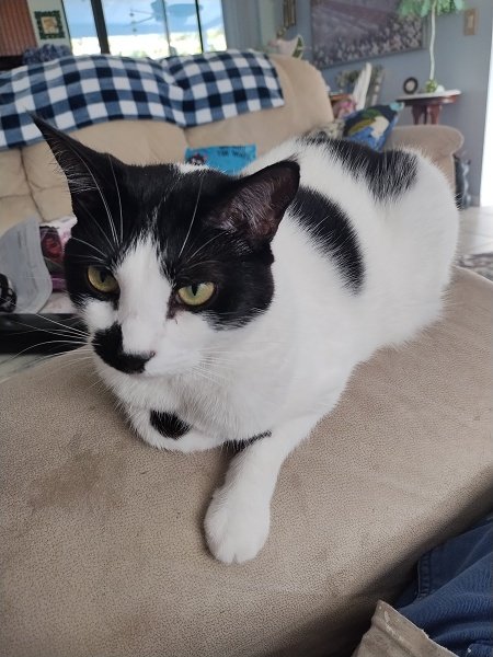 Sophie