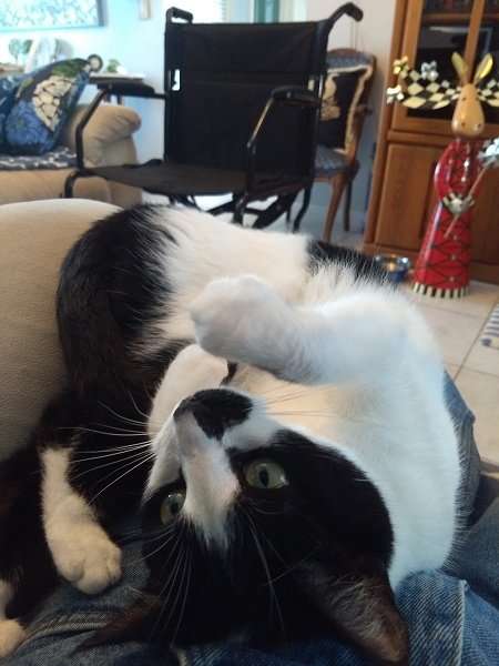 Sophie
