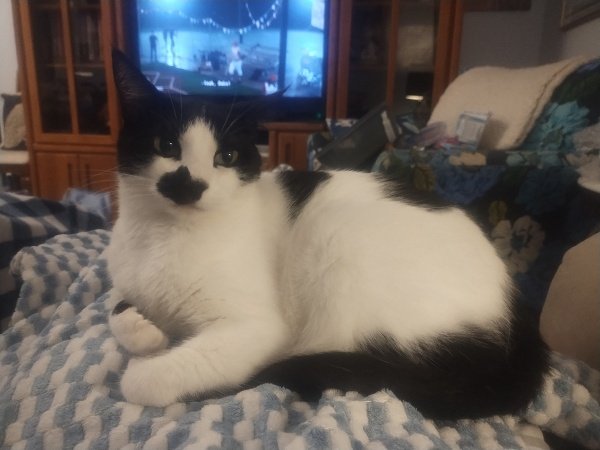 Sophie