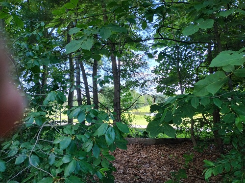 Hickory Hill Golf Course