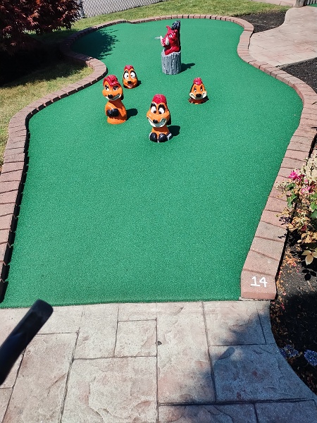 JayGee's Meercat Hole