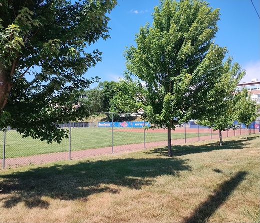 U Mass-Lowell baseball field