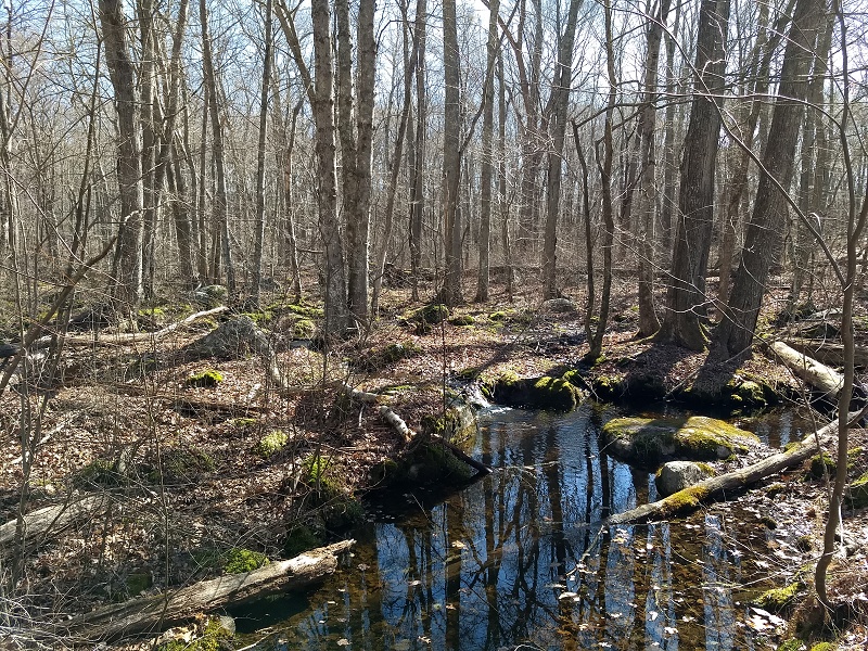 Barn Island brook Barn Island brook