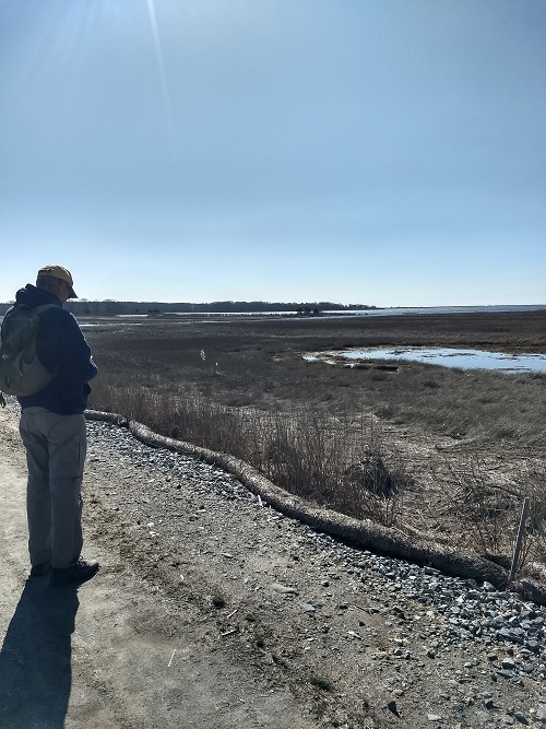Barn Island marsh Barn Island marsh