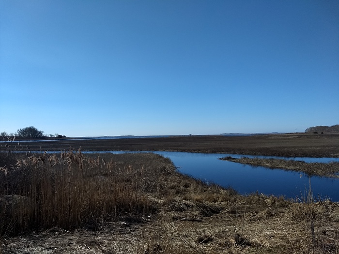 Barn Island marsh Barn Island marsh
