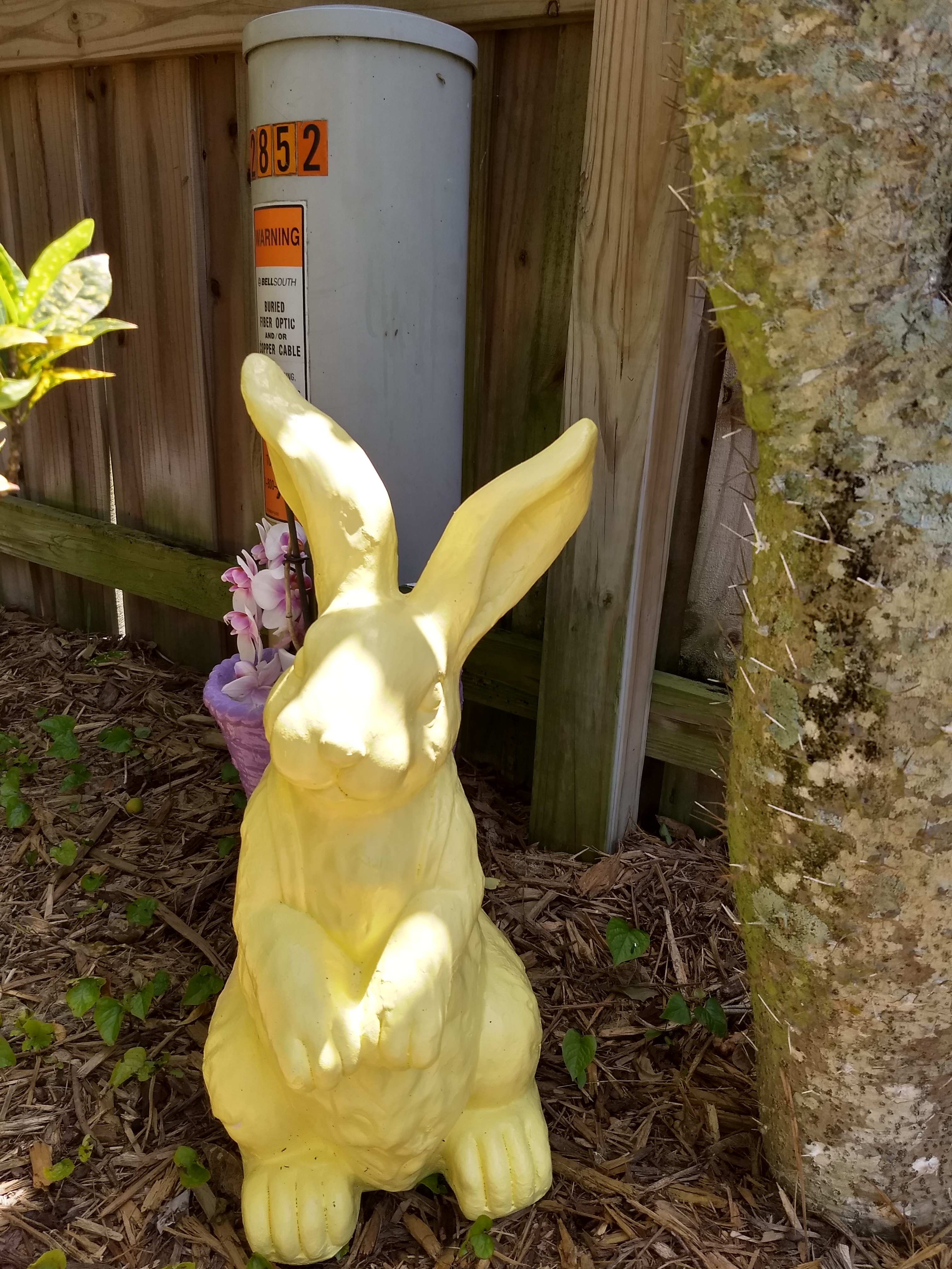 Creepiest Bunny