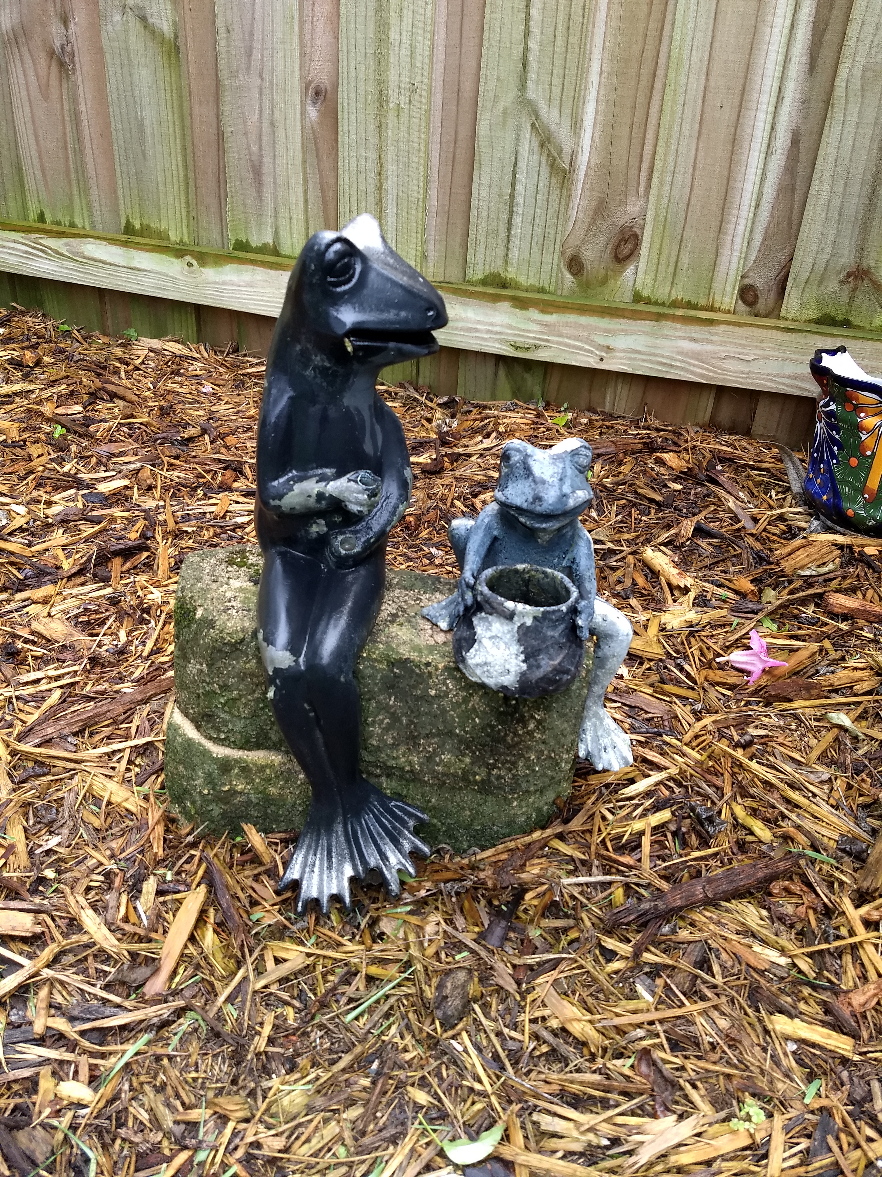 Frogs before