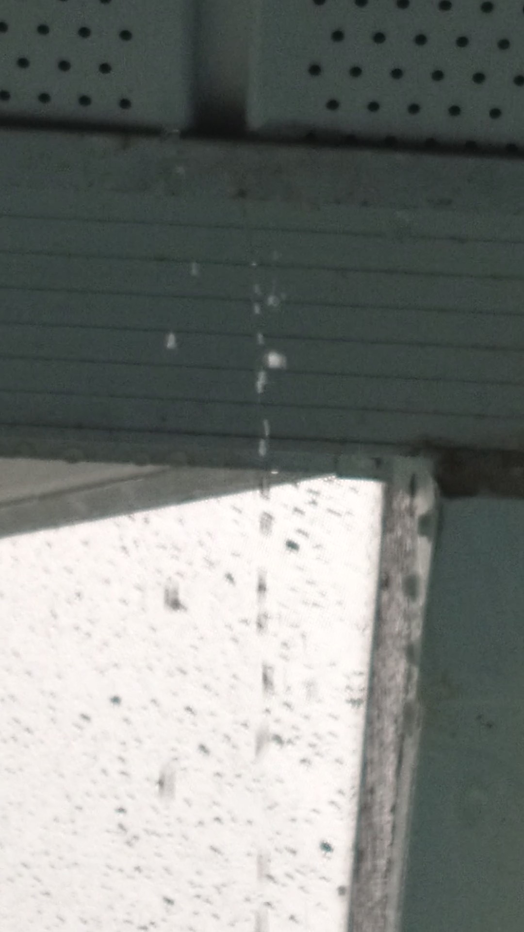 More gutter leaks