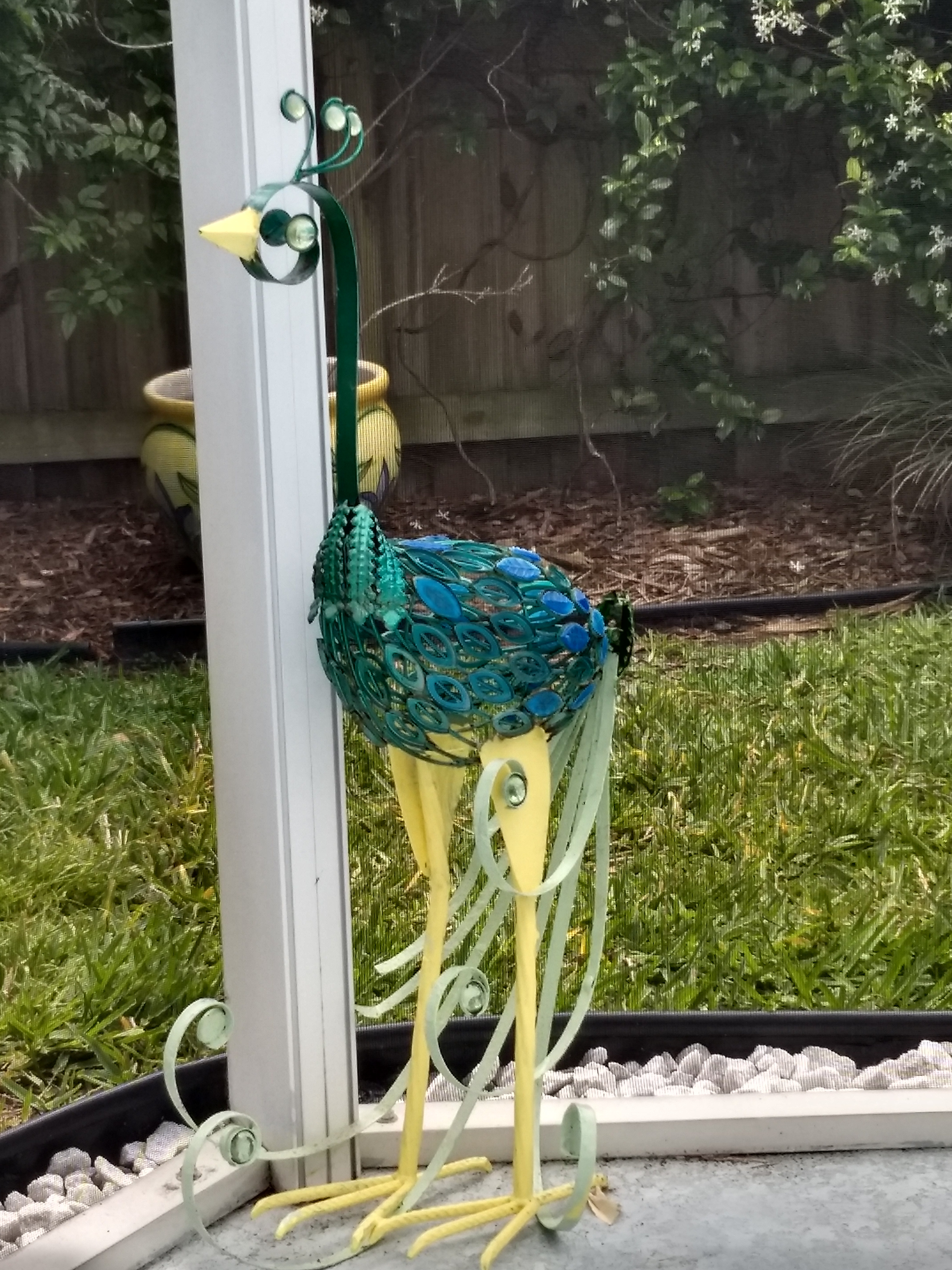 Peacock repaired